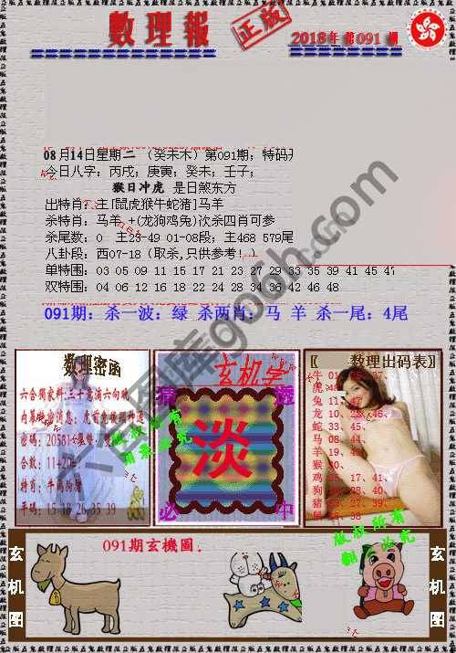 数理报