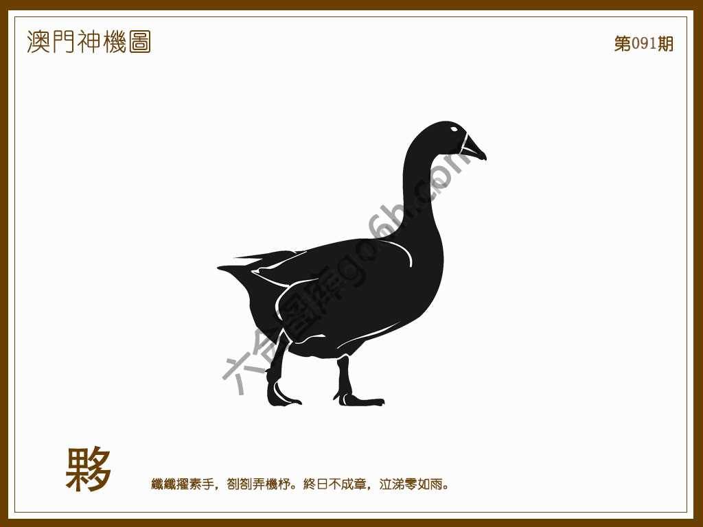 澳门神机图