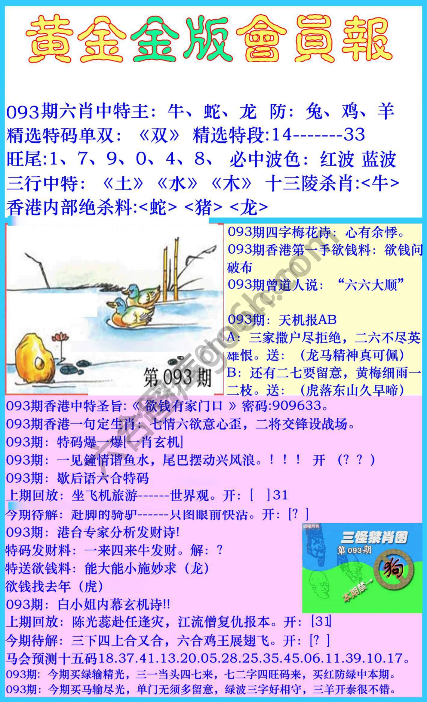 黄金金版会员报