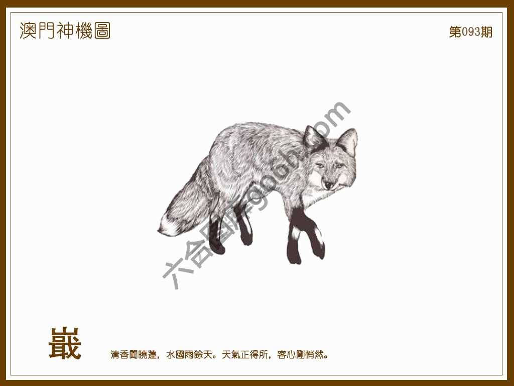 澳门神机图