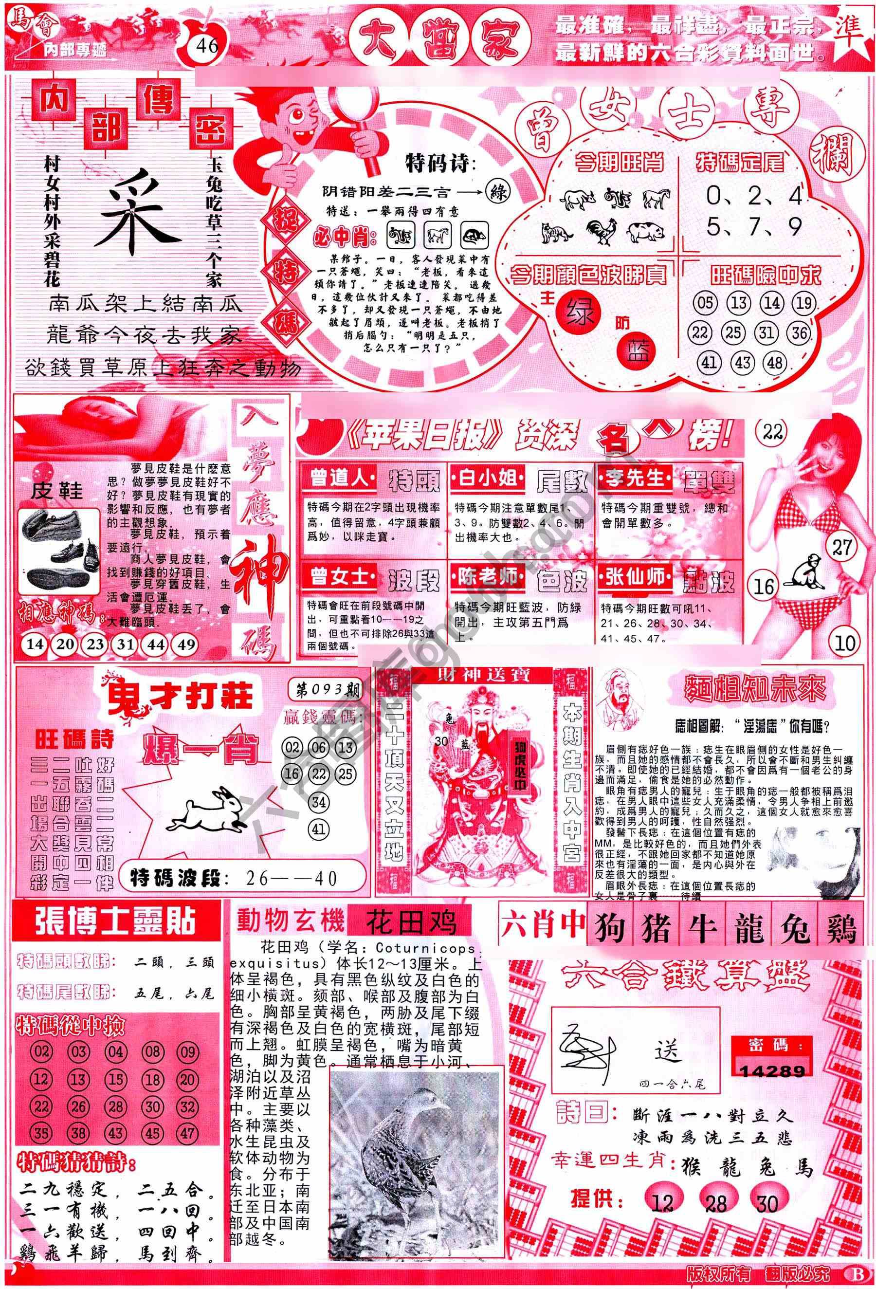 大当家
