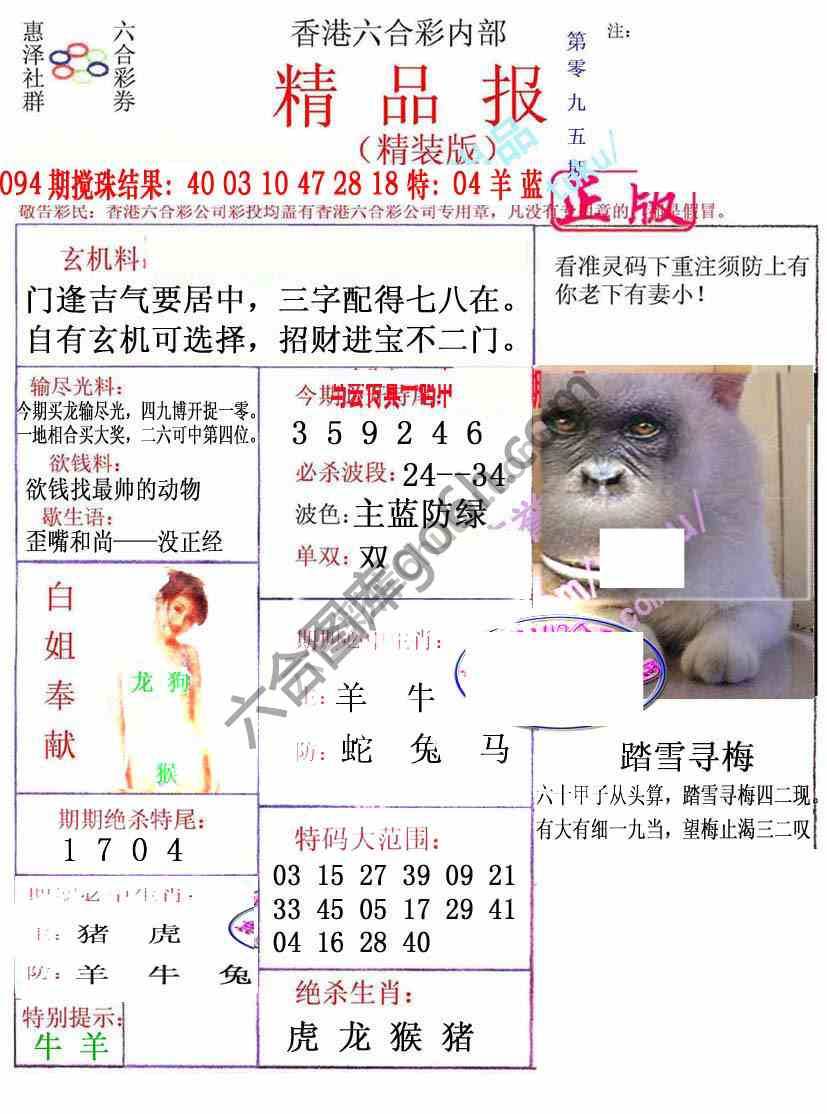 新精品报