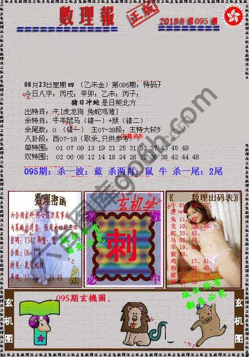 数理报