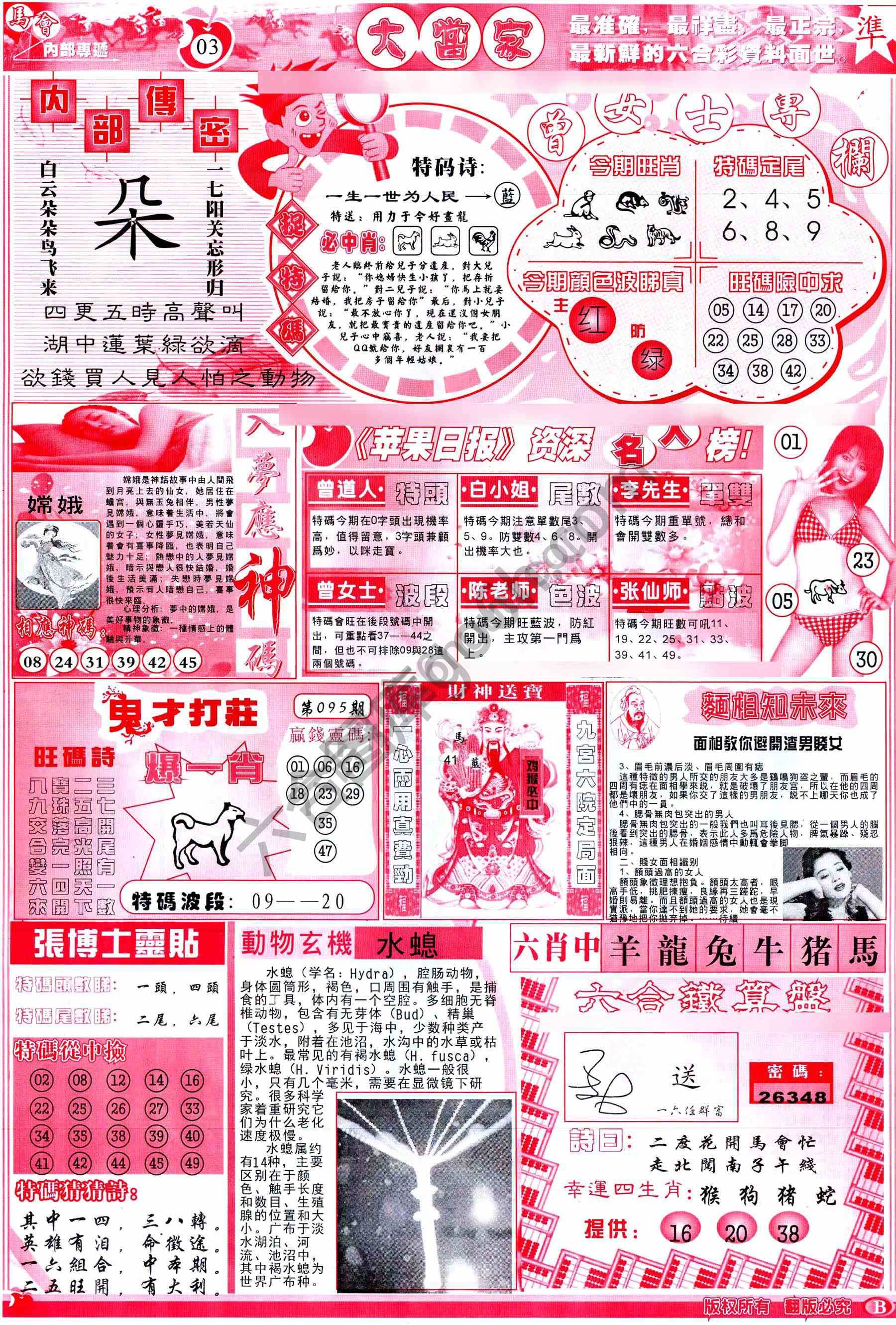 大当家