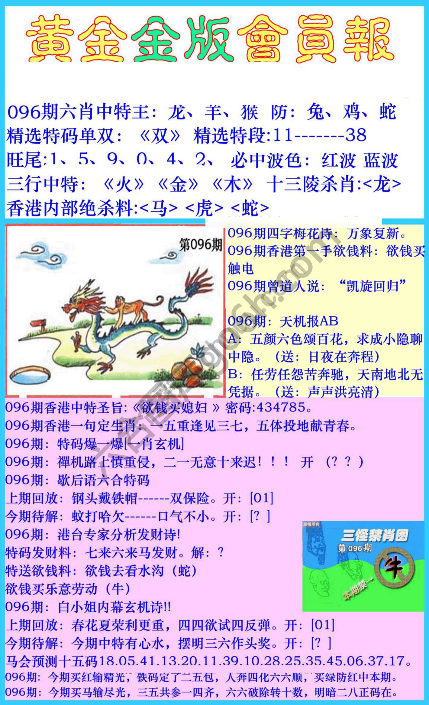 黄金金版会员报