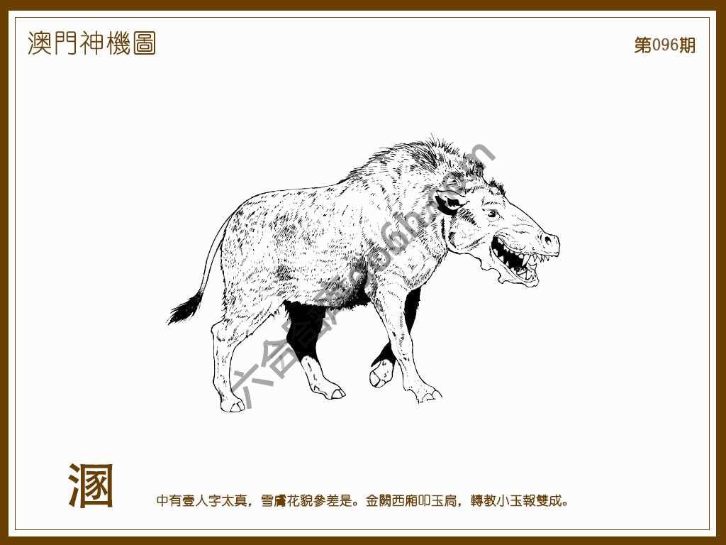 澳门神机图