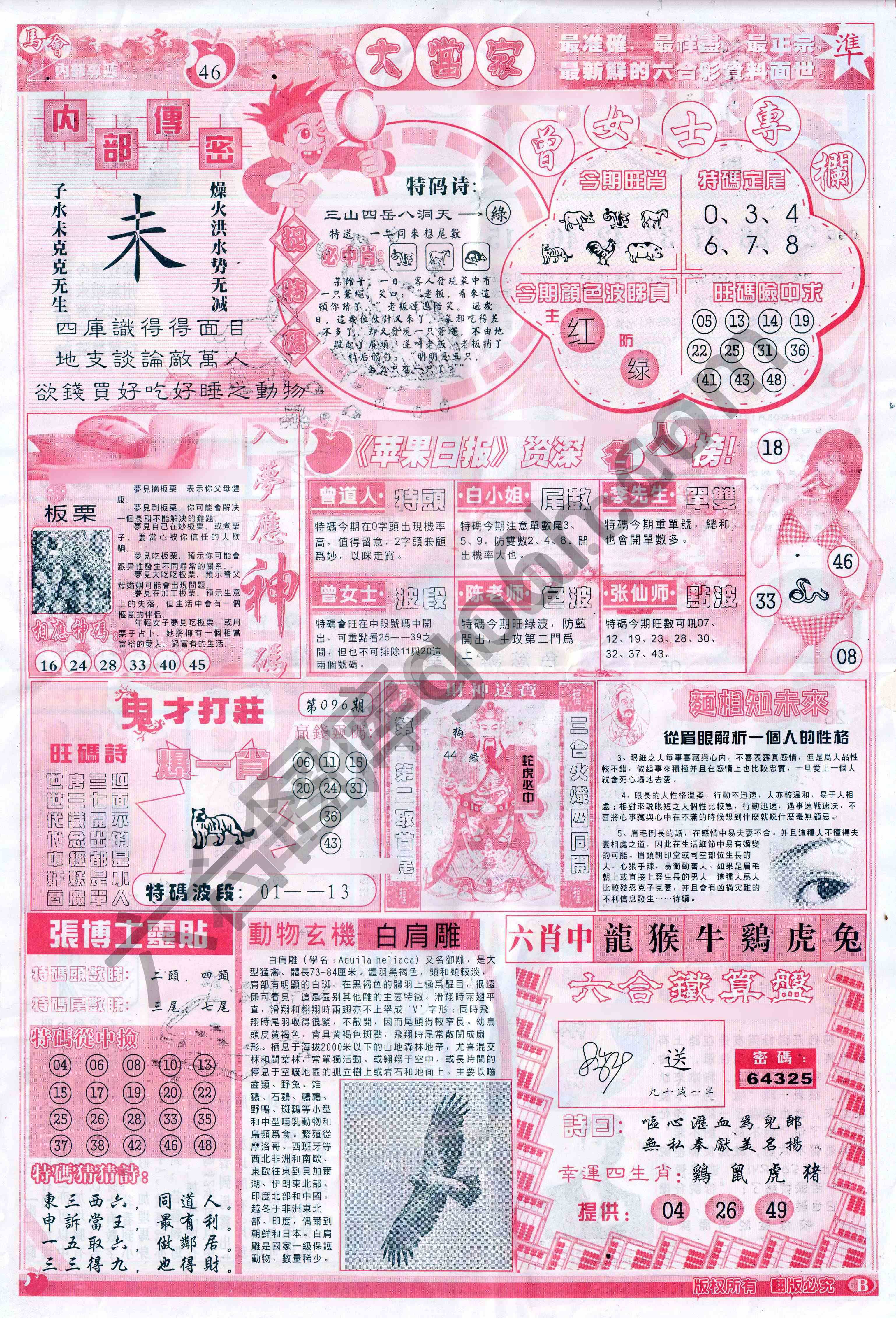 大当家