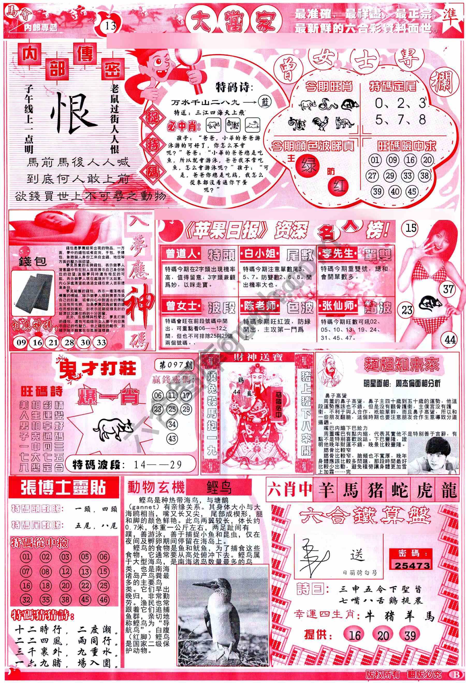 大当家