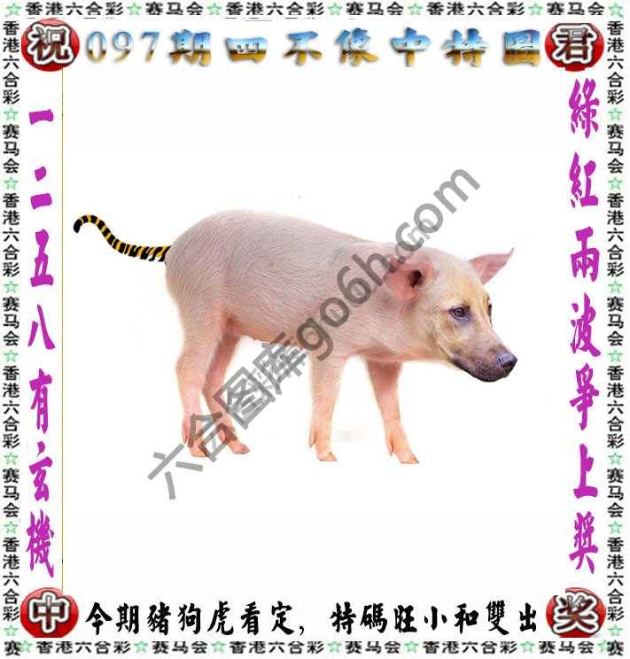 四不像中特图