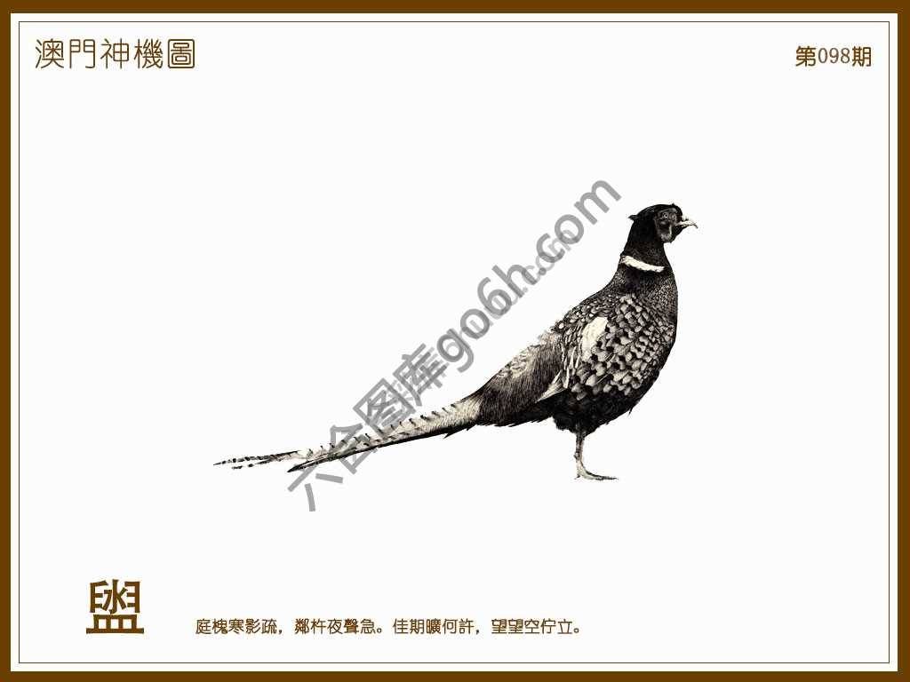 澳门神机图