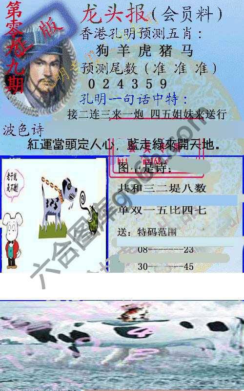 龙头报