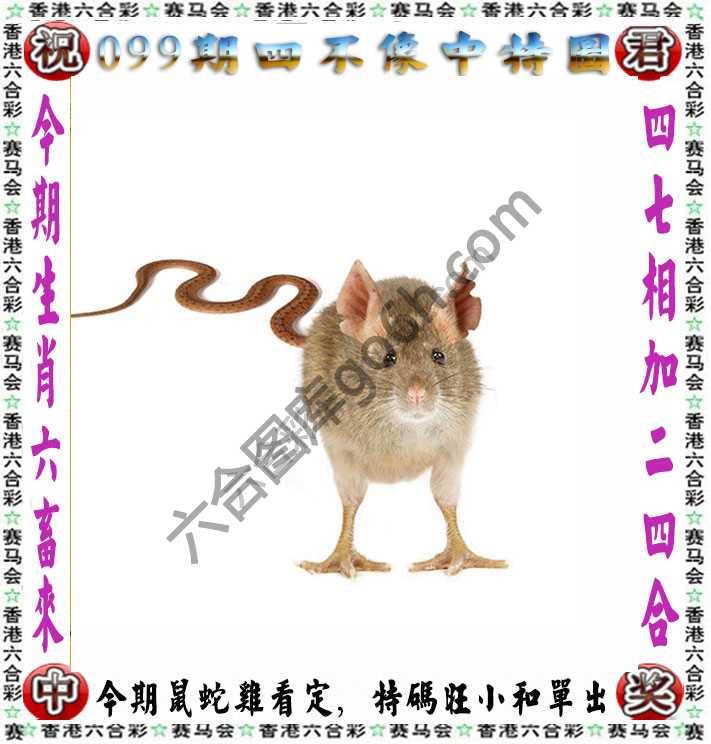 四不像中特图