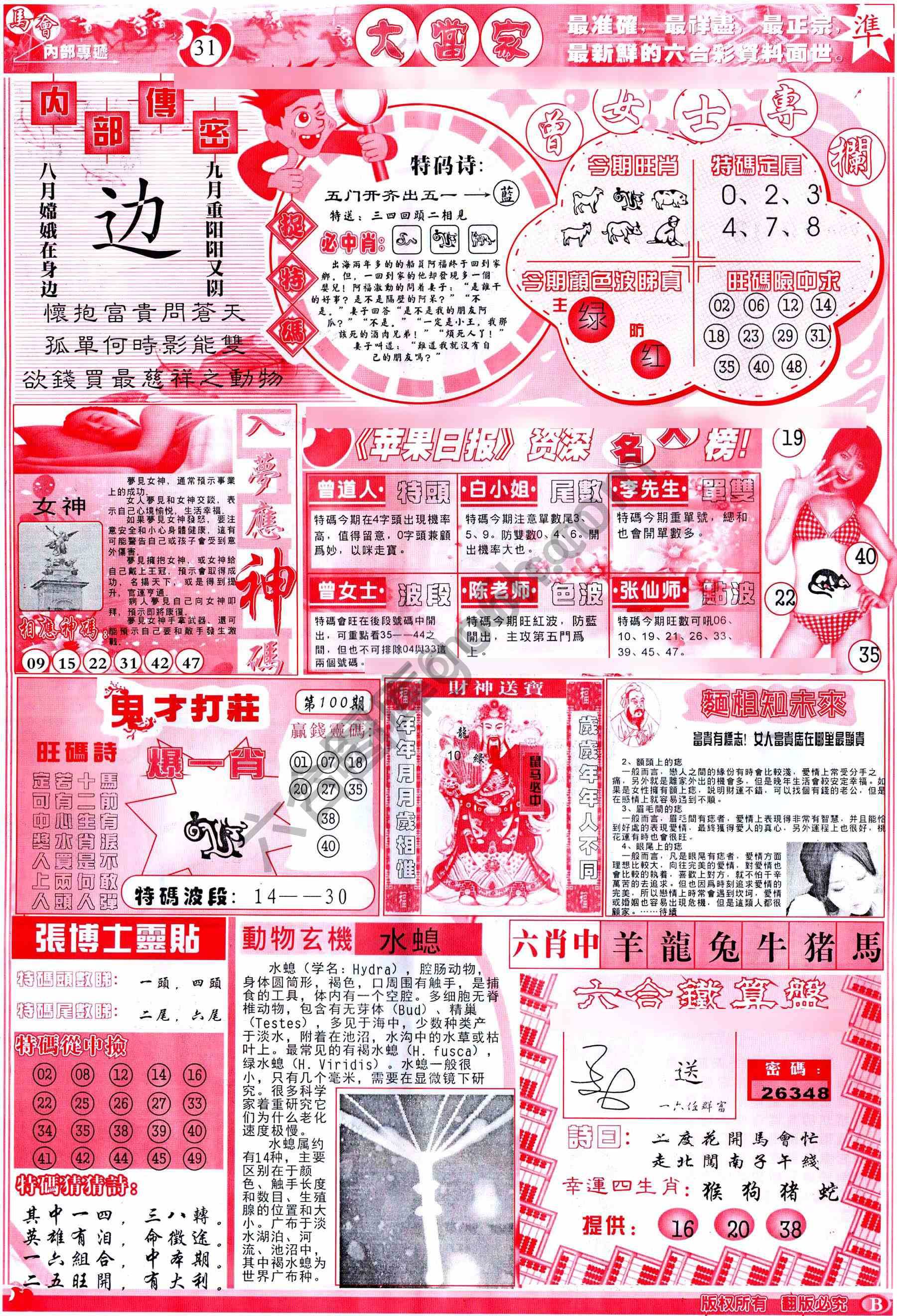 大当家