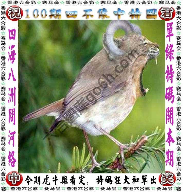 四不像中特图