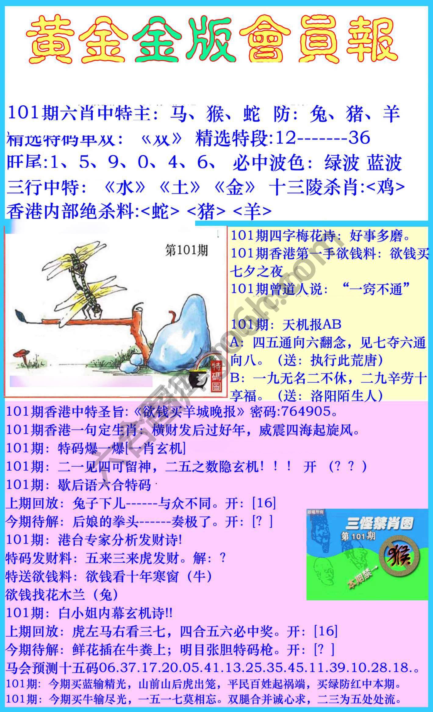 黄金金版会员报