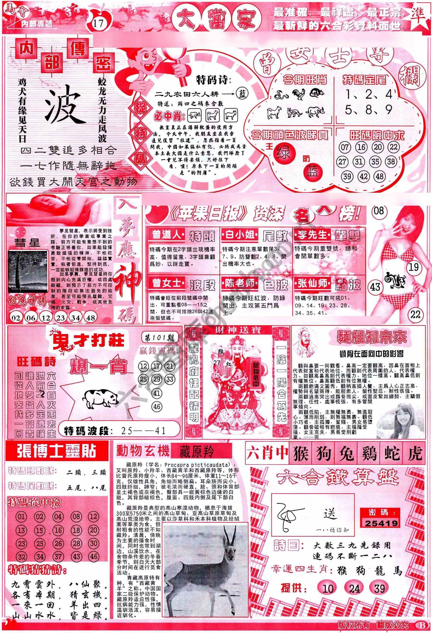 大当家