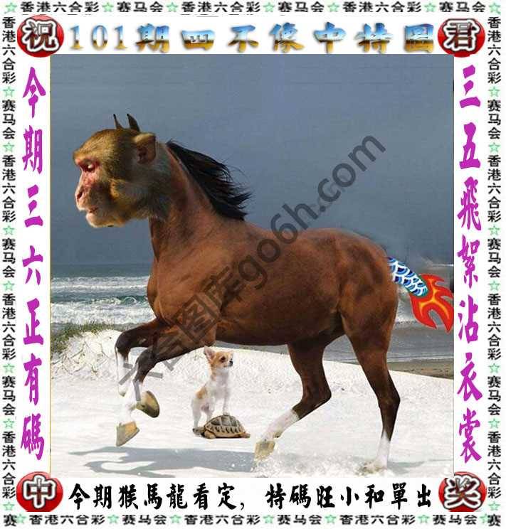 四不像中特图