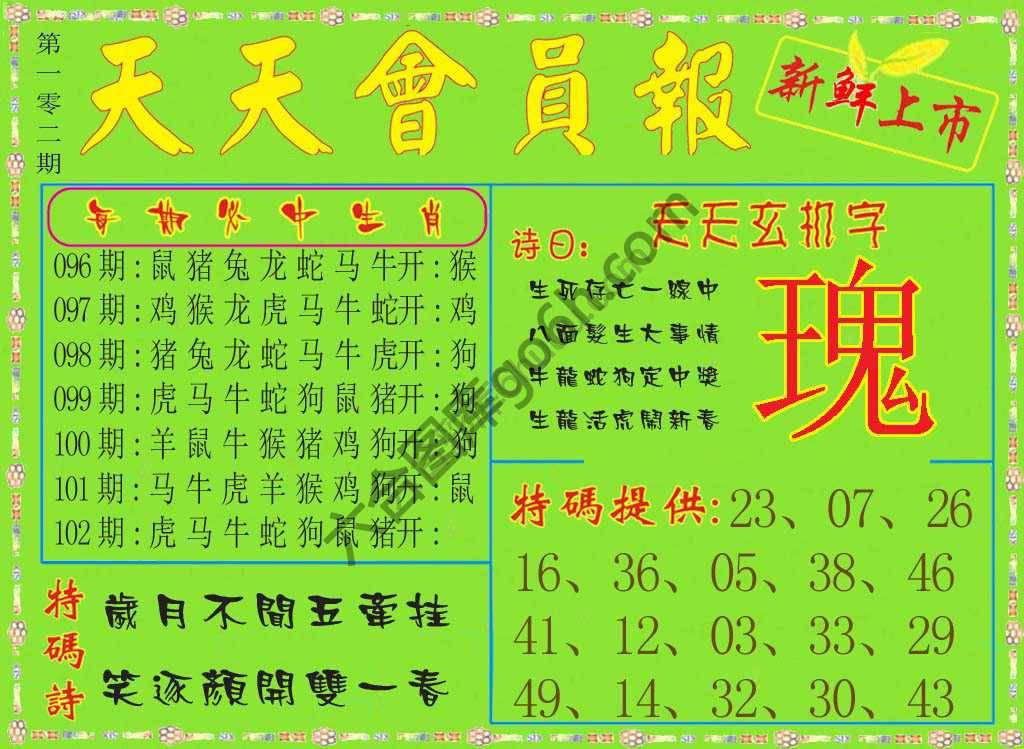 天天会员报
