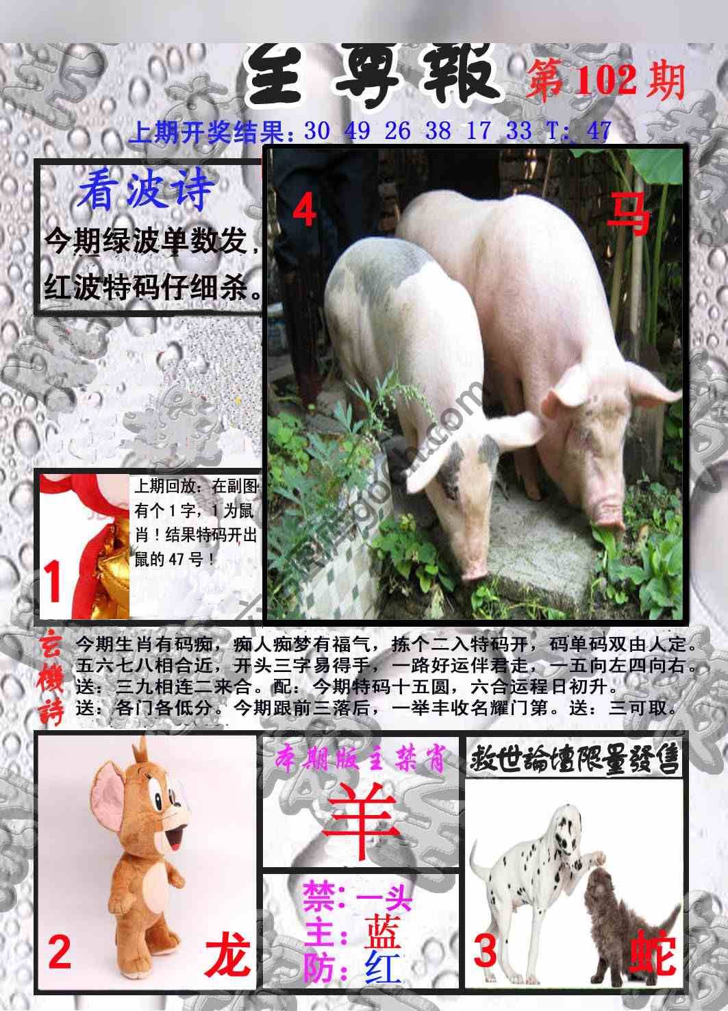 至尊报