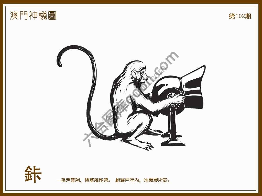 澳门神机图