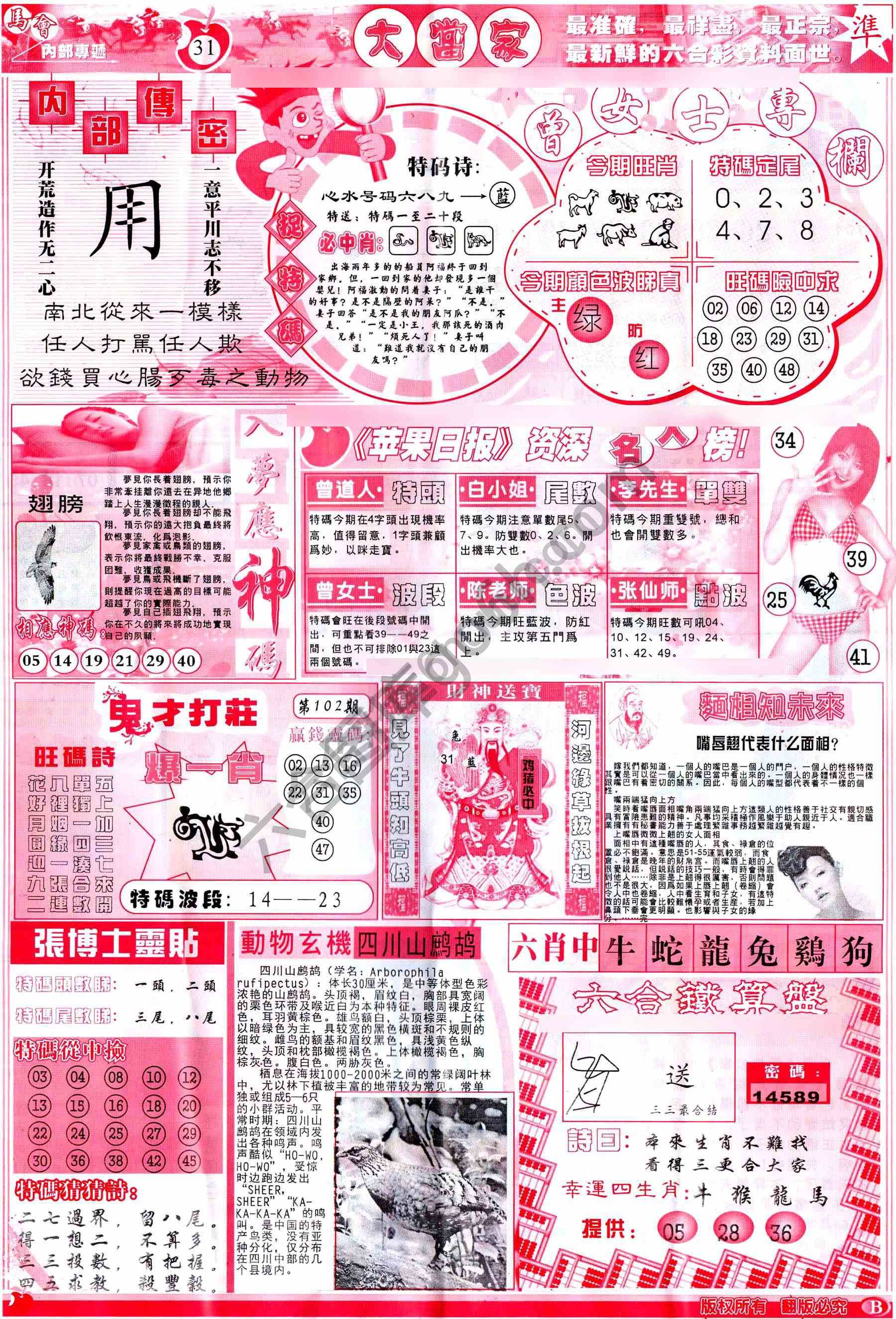 大当家