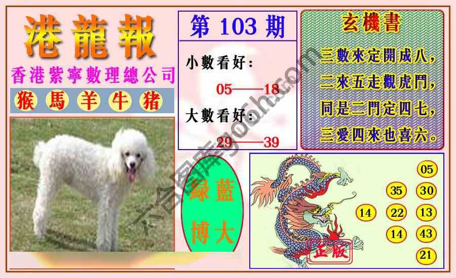 港龙报