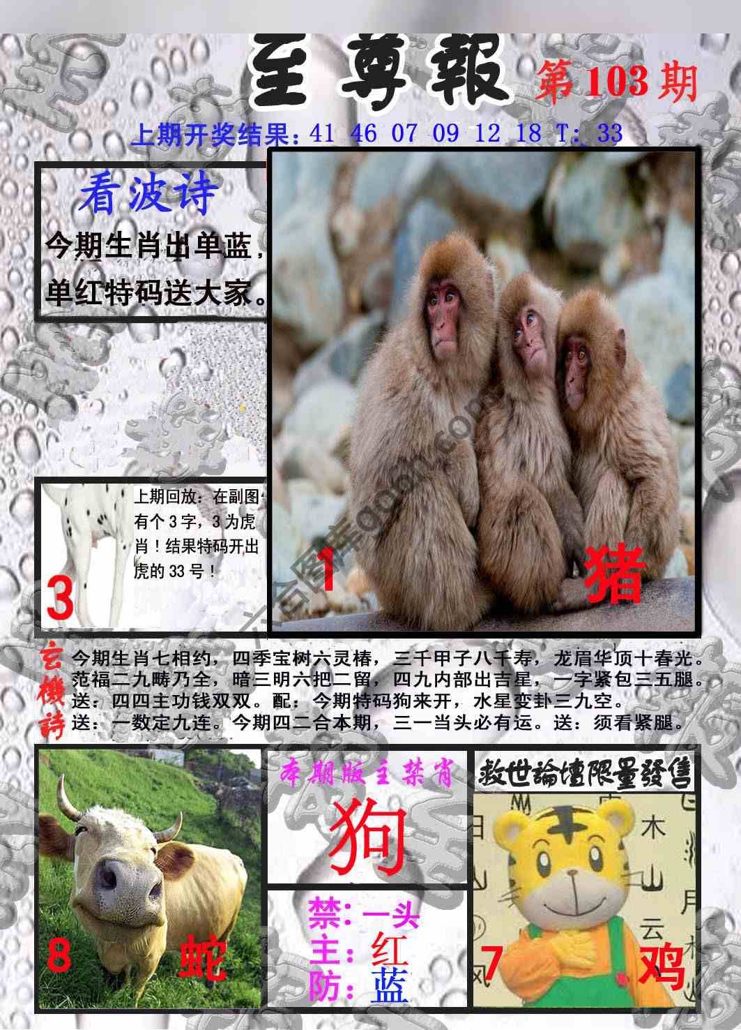 至尊报