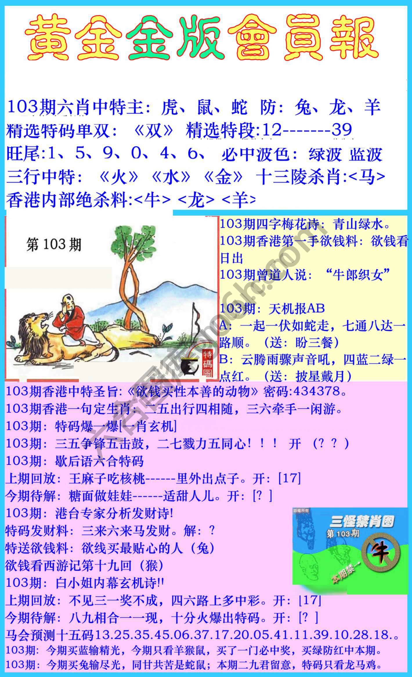 黄金金版会员报