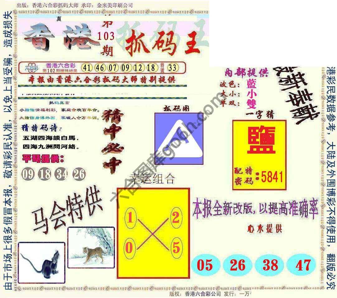 新抓码王