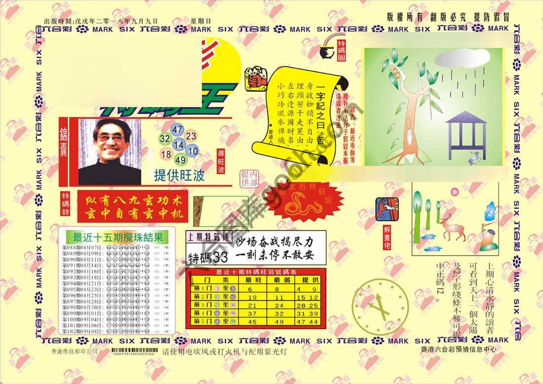 特码王