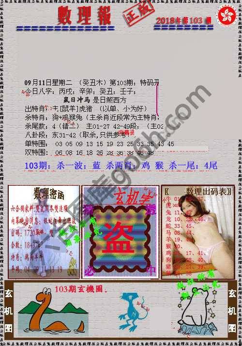 数理报