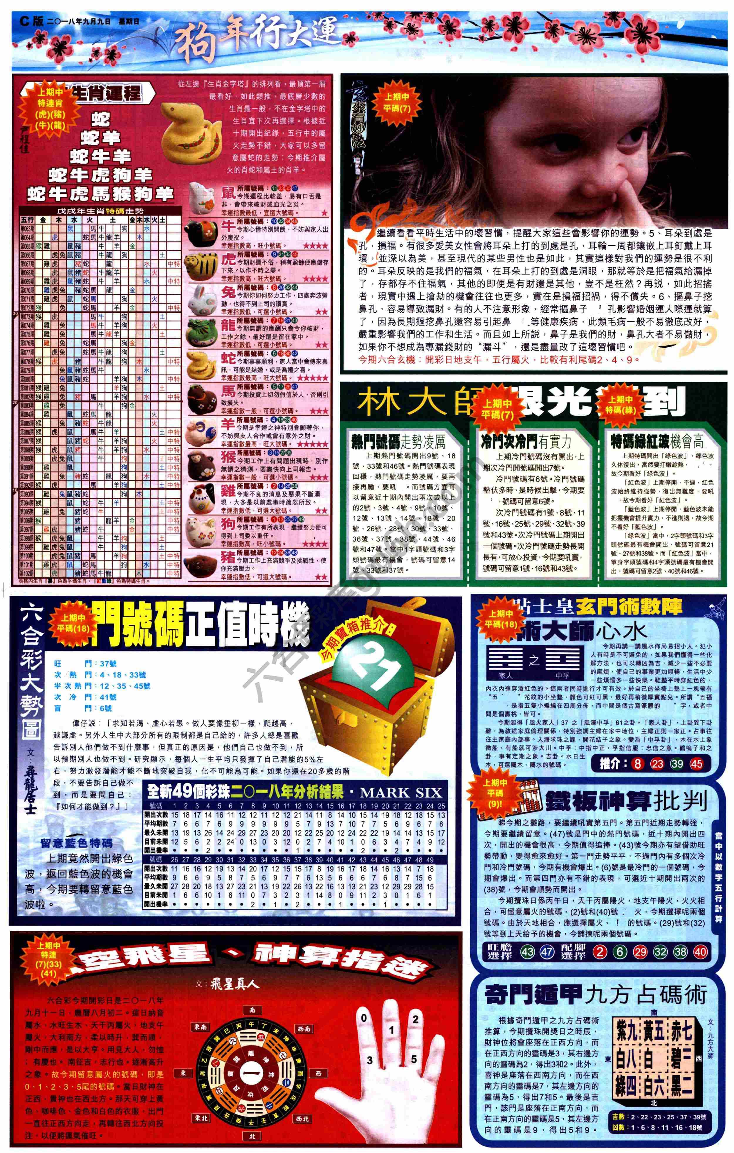 大版贴士皇