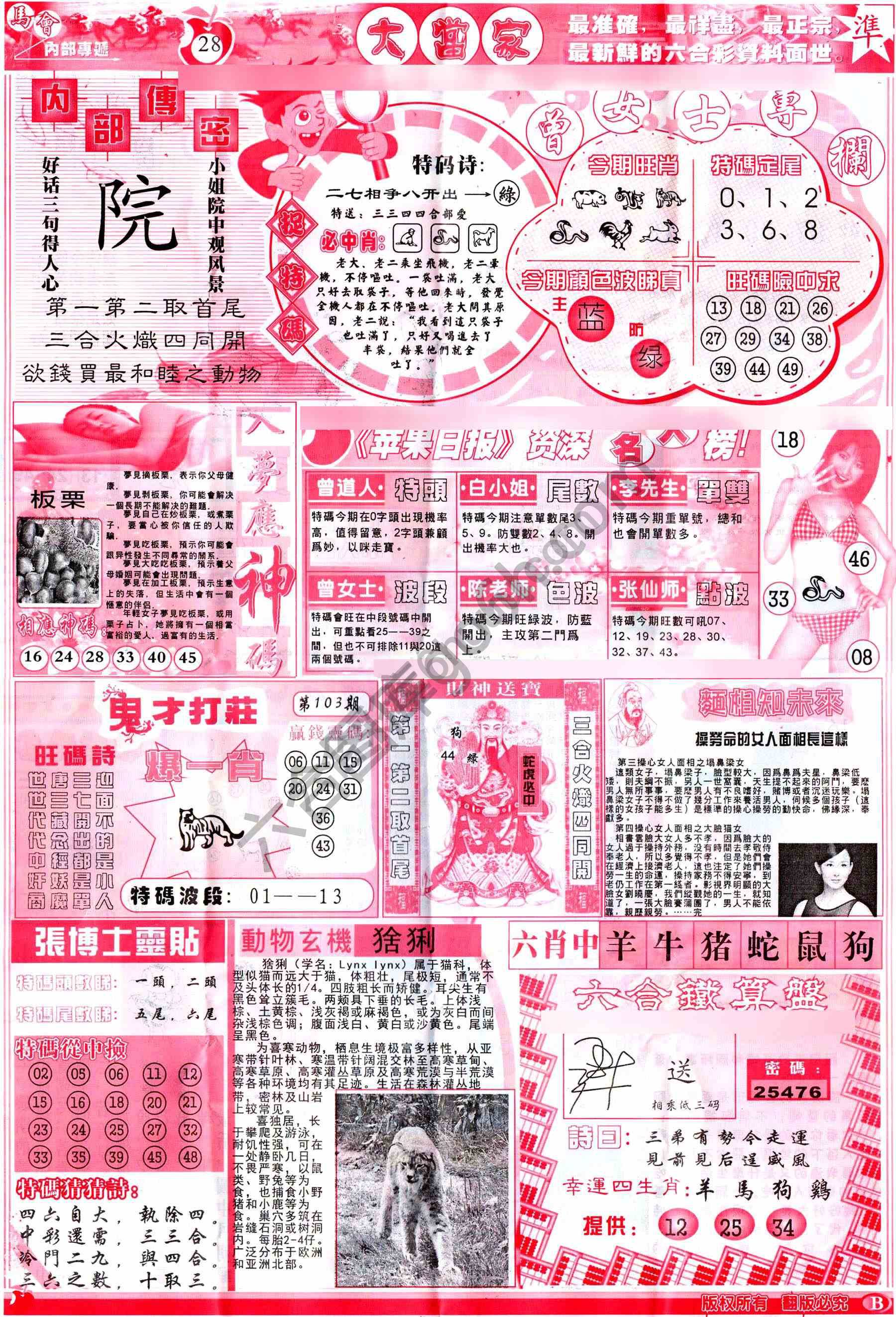大当家