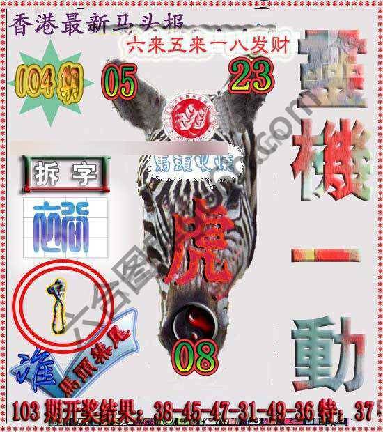 香港马头报