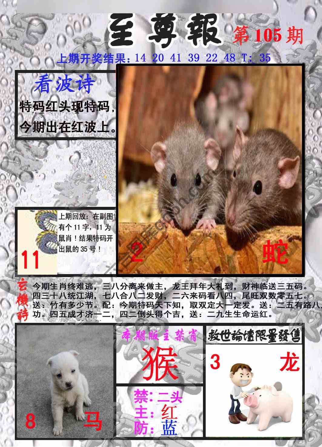 至尊报