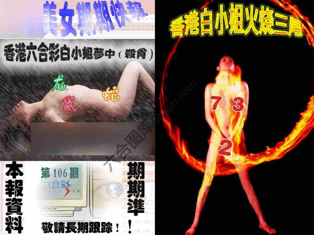 环球美女特码报