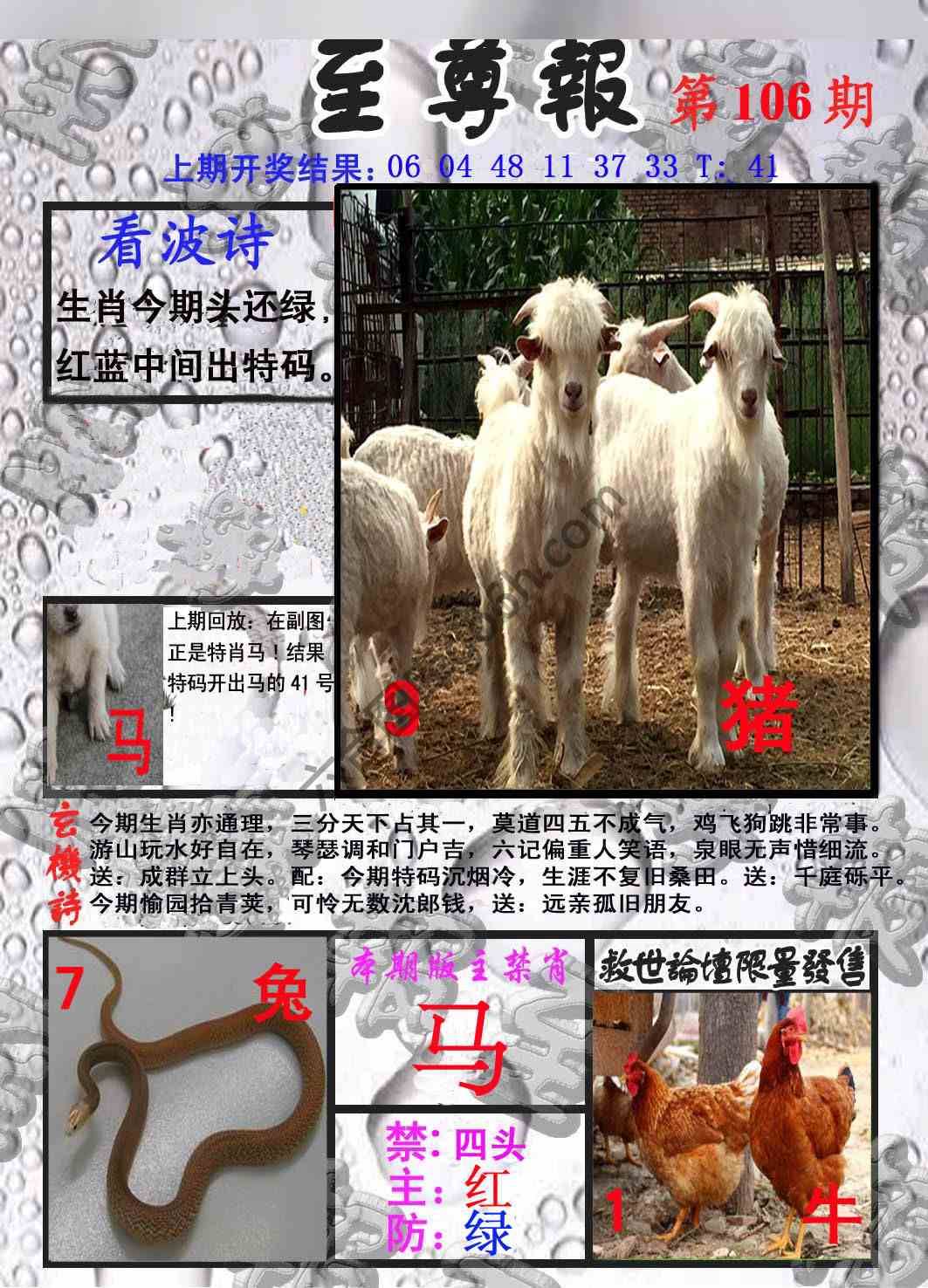 至尊报