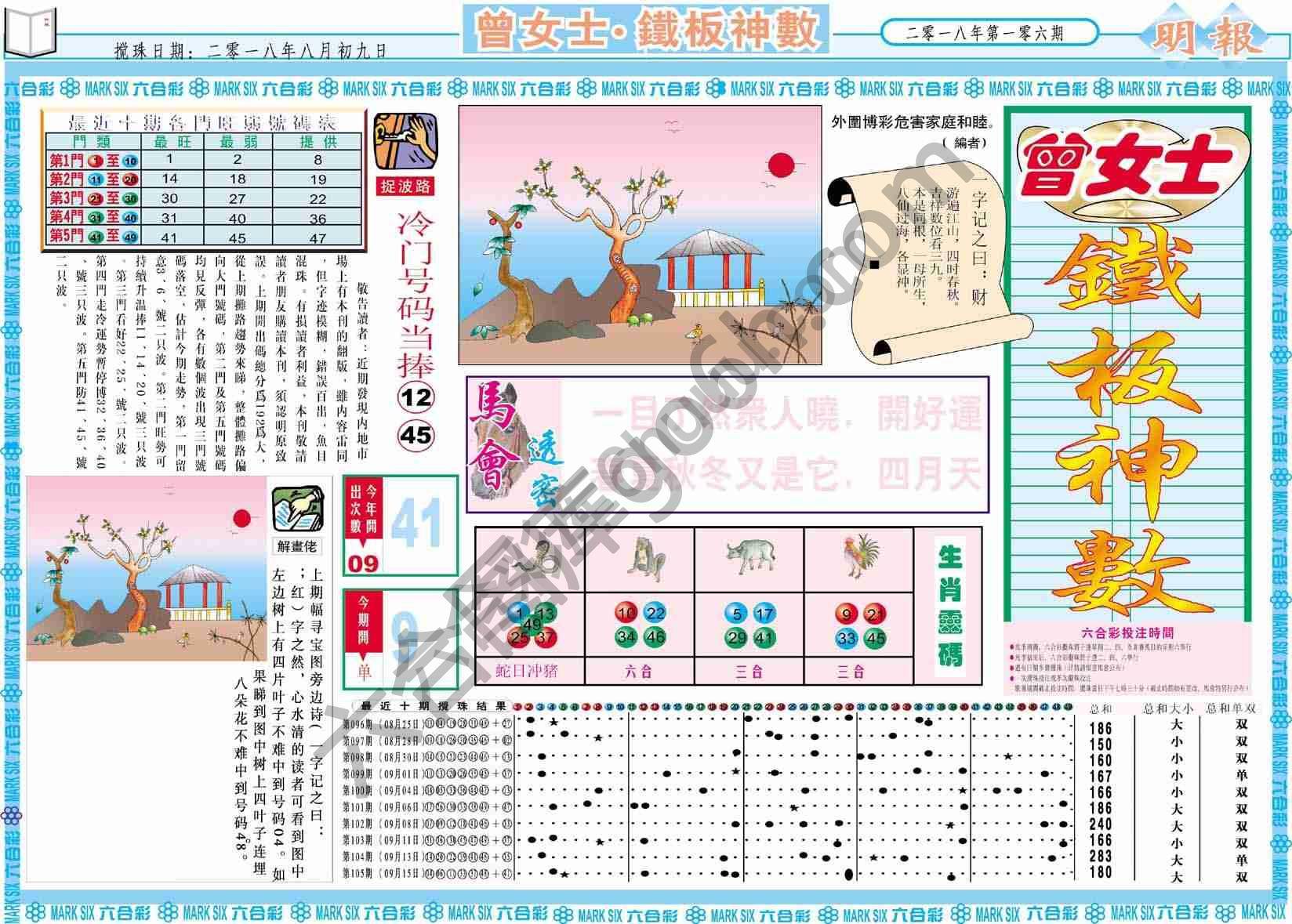 曾女士铁板神数