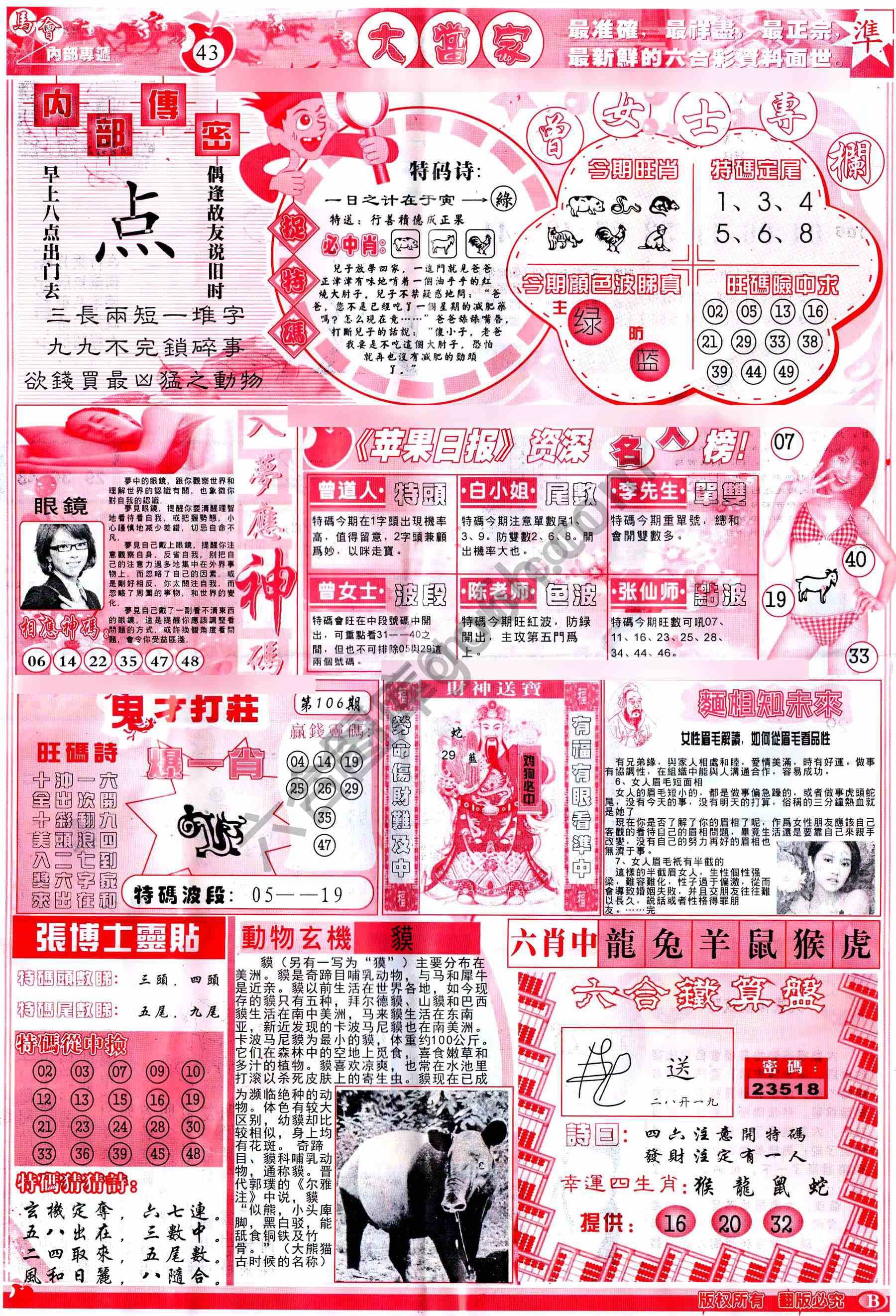 大当家