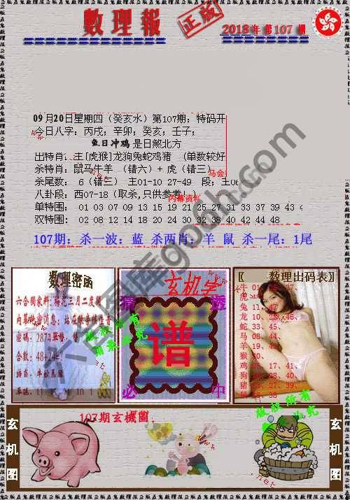 数理报