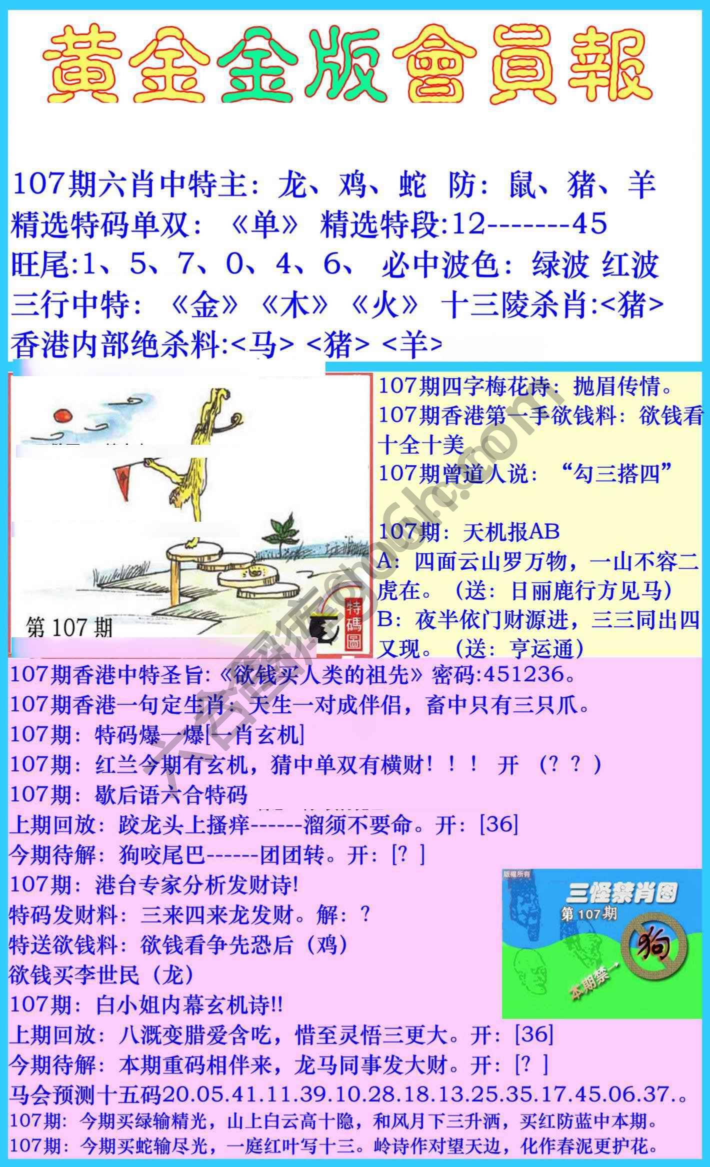 黄金金版会员报