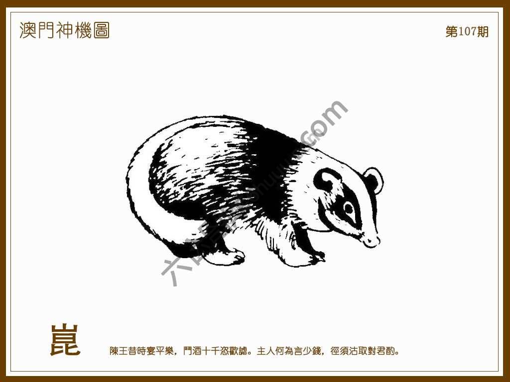 澳门神机图