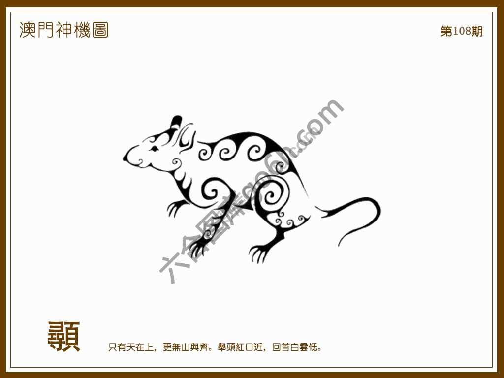 澳门神机图