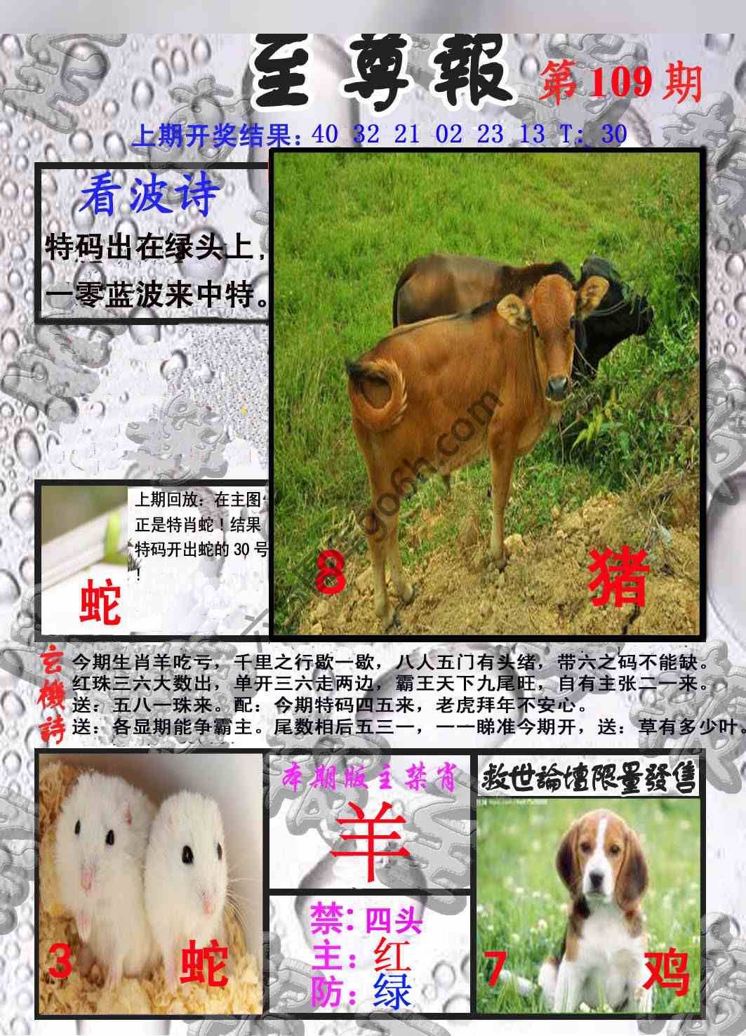 至尊报