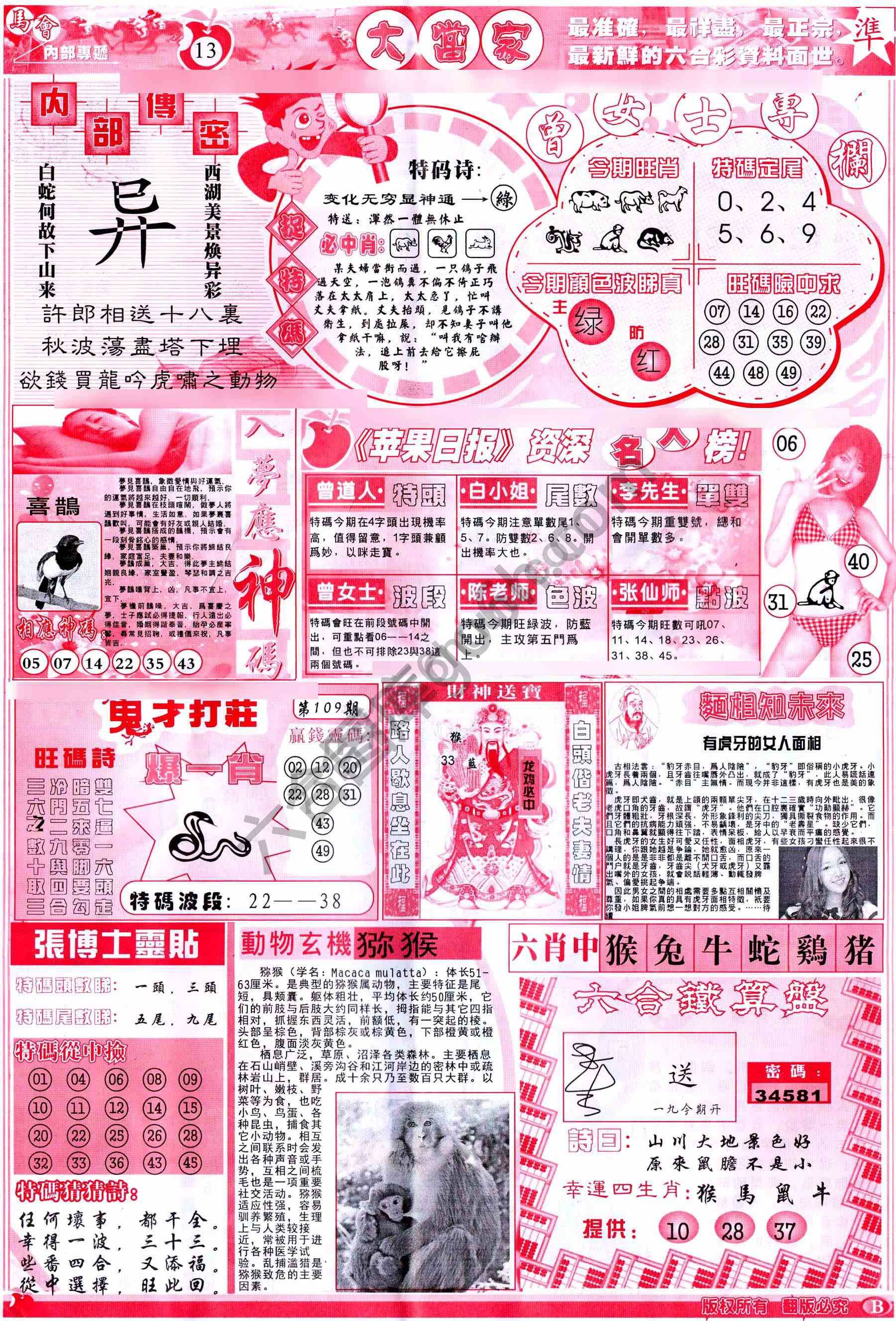 大当家