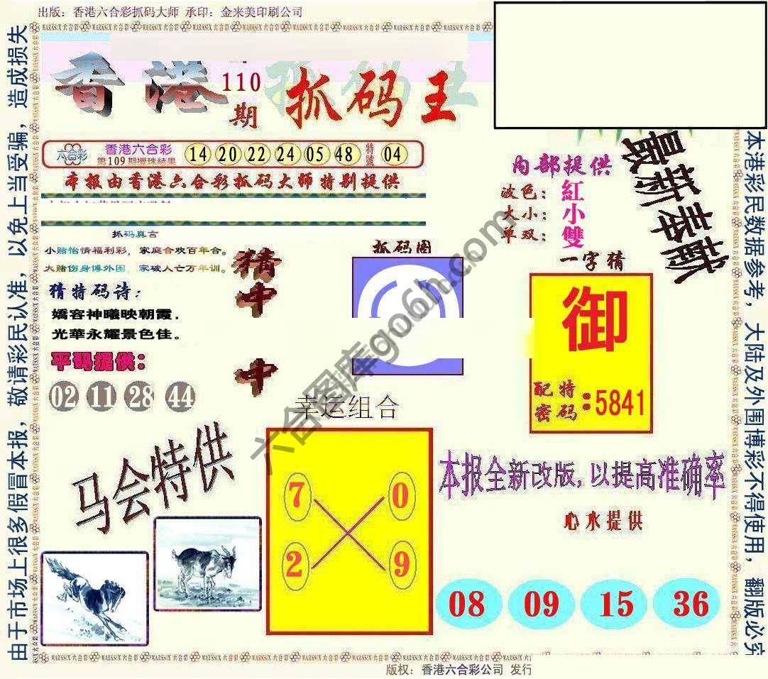 新抓码王