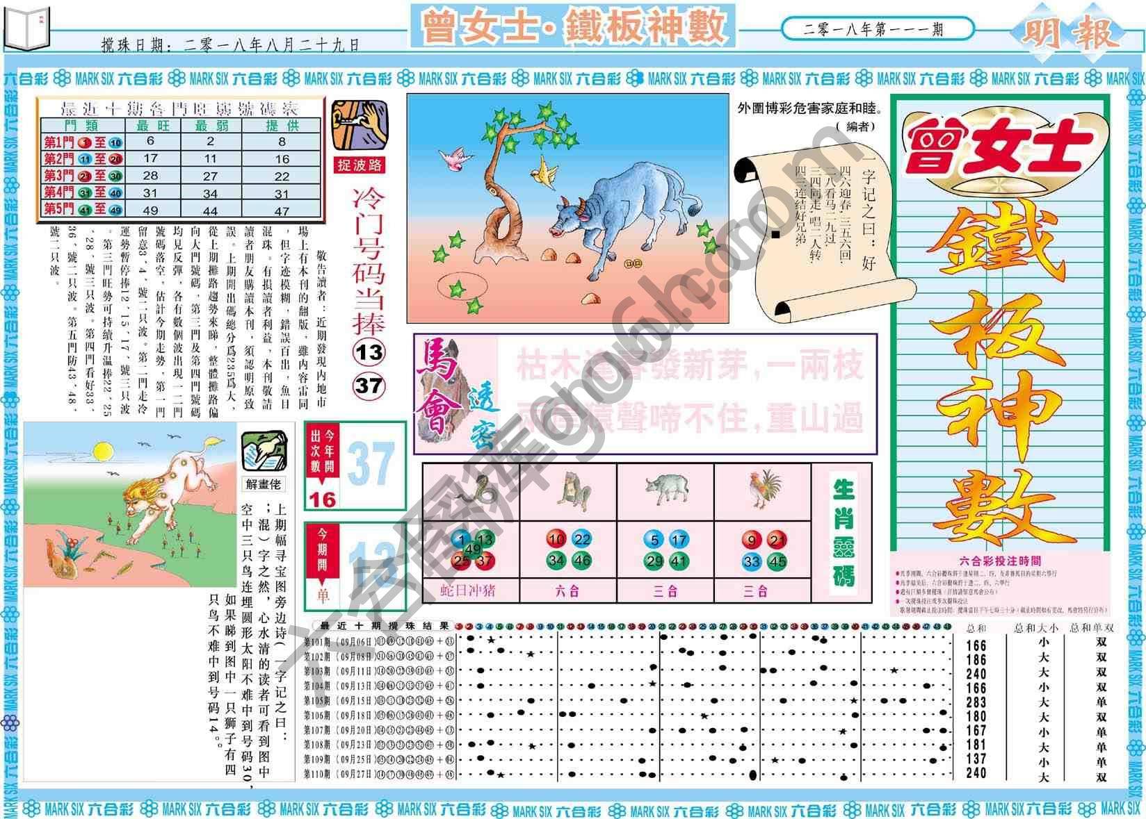 曾女士铁板神数