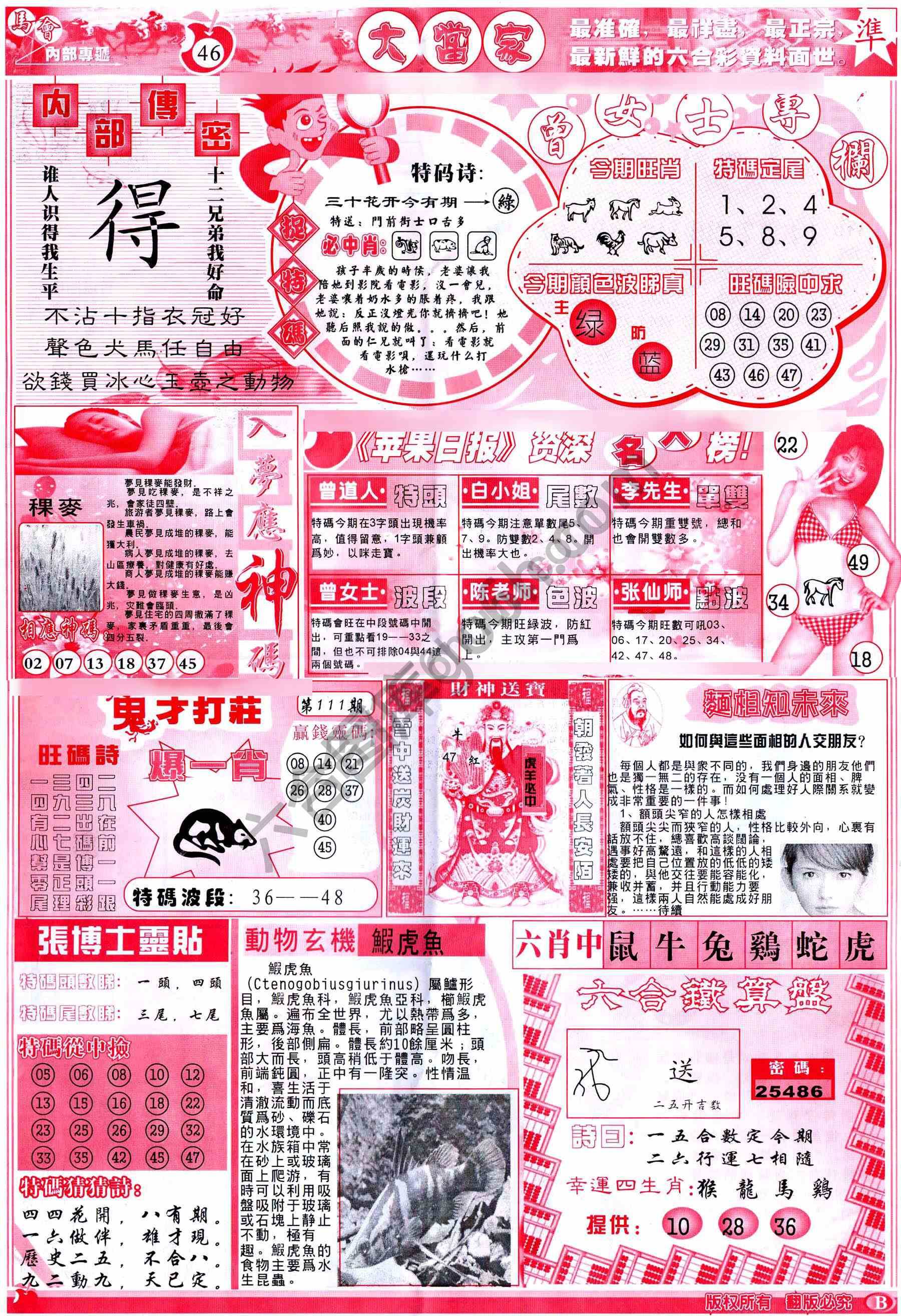 大当家