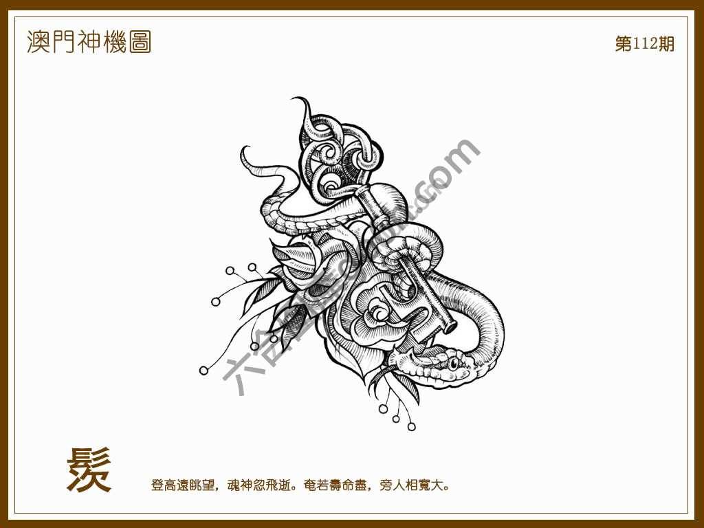 澳门神机图