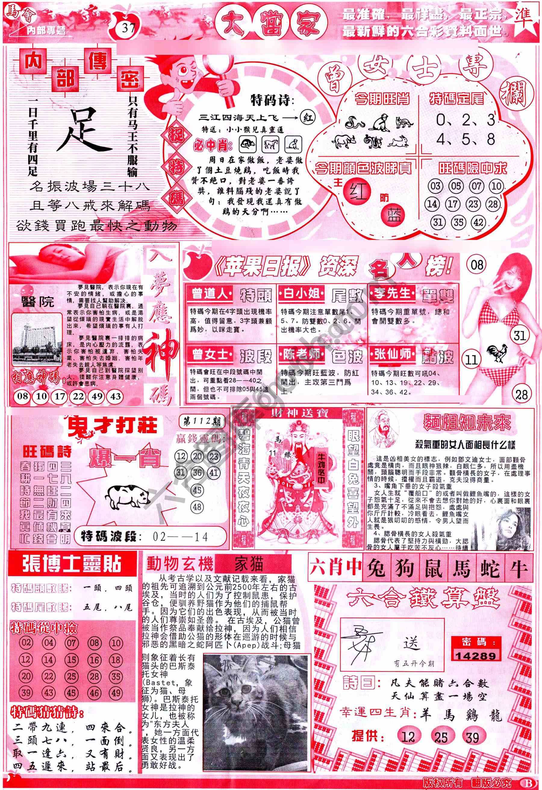 大当家